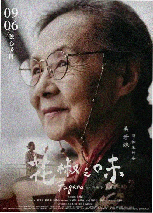 豆花影视动漫：间谍过家家